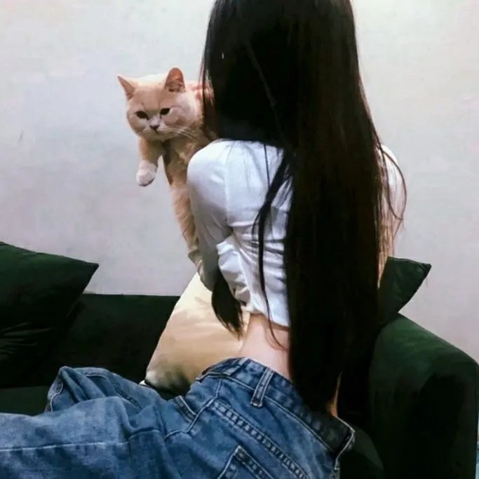 冒险三人组